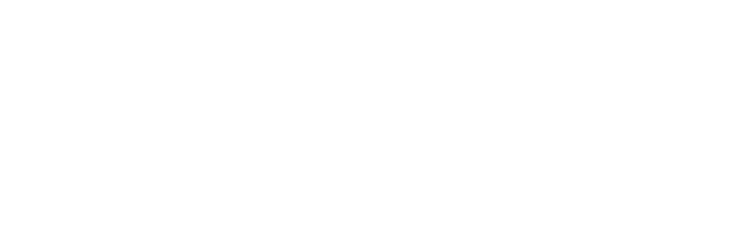 Finsightic